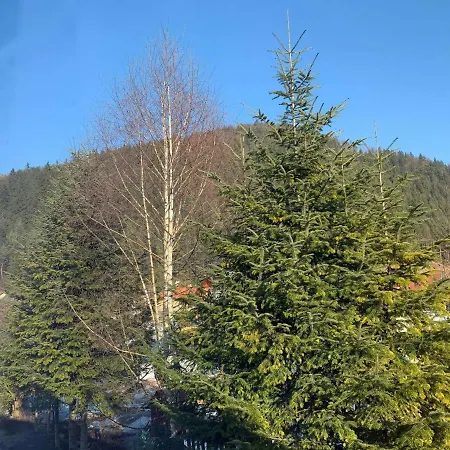 Daniela Liptovská Osada