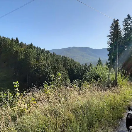 Kwatera prywatna Daniela